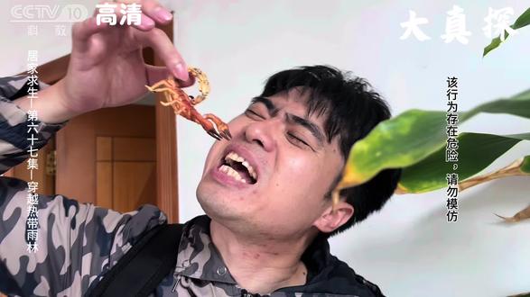 假如以荒野求生的方式打开日常~荒野求生沙雕版!第67集:穿越热带雨林。#荒野求生 #贝爷#搞笑沙雕