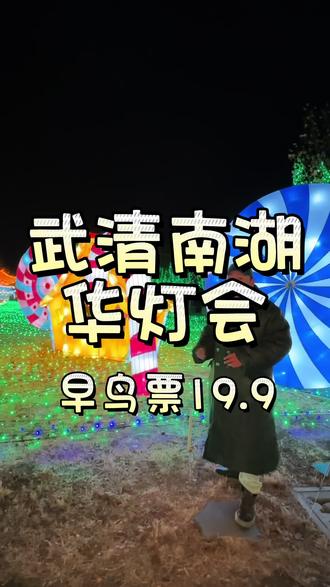 武清南湖灯会又来了 五大主题园区 原创武侠情景剧 行浸式逛园#2026侠梦贺岁南湖华灯会 #谁的过年DNA狠狠动了 #灯展#花灯#灯会