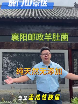 我们在鹿门山景区,给你带来我们襄阳邮政的羊肚菌哦~#羊肚菌 #襄阳邮政 #直播间