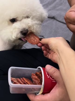 不希望别的小狗在讨论吃过这吃过那 的时候 我的小狗插不上嘴🥹#宠物也是家人 #狗狗磨牙#狗零食 #宠物薯片 #家有小馋狗