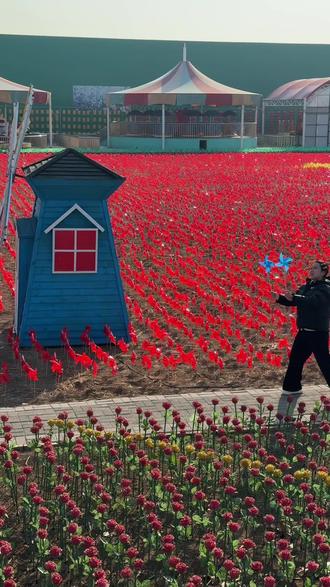 乾赵花海荷兰风车节 快来打卡,一起热热闹闹过大年#假期游玩打卡 #乾兆花海