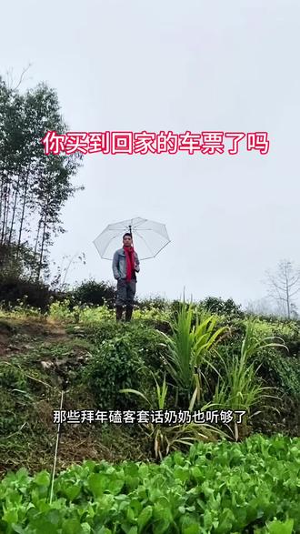 还有几天就过年了,还有多少人没买到回家的车票呢?#乡村生活 #回家的路 #三农流量扶持计划