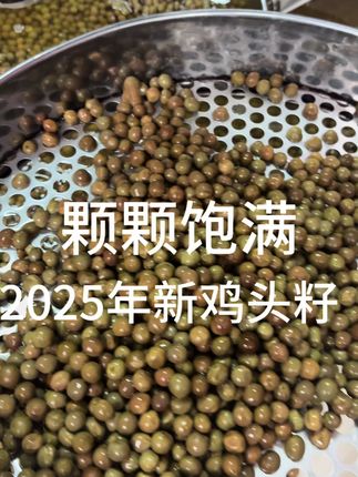 颗颗饱满的鸡头籽,2025年新果上市~