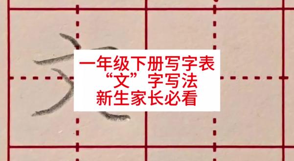 一年级下册,文字写法,学会就能教娃!#硬笔手写 #写字方法 #一年级 #一年级语文下册