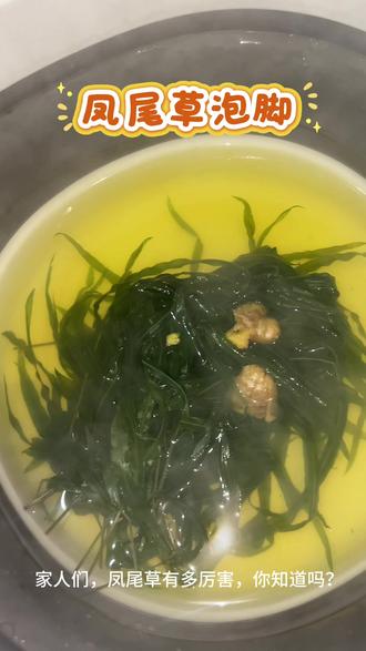 凤尾草泡脚。#真实生活分享计划 #凤尾草 #泡脚 #养生 #健康
凤尾草加生姜泡脚,在路边随处可采的草药,清热解毒,有很多功效