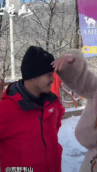 #生活服务热点中心 #荒野韦山 又是甜蜜蜜的一天#七星山 @大表姐回来了 @荒野韦山