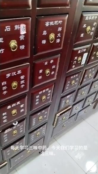每天学习三味中药,今天学习的是地骨皮,牡丹皮,青蒿#中药#中医文化#中医传承