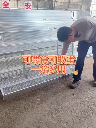 家用养殖鸡笼#源头实力厂家 #强烈推荐 #鸡笼 #鸡笼子 #鸡笼设备