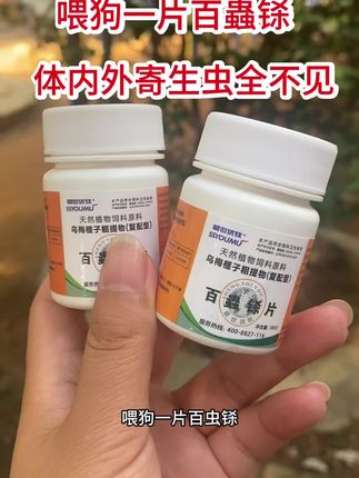 #猫狗驱虫的重要性