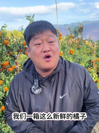 又到了吃果冻橙的季节,香甜可口,口口爆汁入口既化,皮薄肉厚果香浓郁,大人小孩都爱吃#新鲜采摘 #爱媛果冻橙
