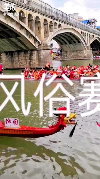 #2026龙舟赛 、鲁班带你看赛龙舟。
