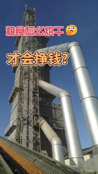 粮食烘干想赚钱,别只盯着加工费!记住这3点,利润直接翻倍!#粮食烘干设备