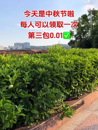 #心相印抽纸推荐 #生活用纸 #好东西一起分享#家用抽纸推荐#无限回购的宝藏单品@DOU+小助手 @DOU+上热门 @抖加🔥上热门🔥dou+🔥热点宝