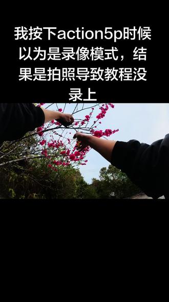 做了把大的!#DJI #花弓 #感受春的气息 #手工#桃花