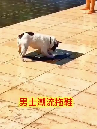 (新款厚底)潮流拖鞋男款夏季厚底居家外穿户外防臭时尚防滑软底#时尚 #潮流穿搭 #拖鞋 #方便又实用 #价格实惠质量好