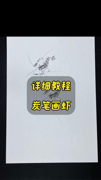 炭笔画虾超详细的教程来咯 #零基础学画画 #绘画教程 #齐白石 #跟着抖音学画画 #亲子绘画