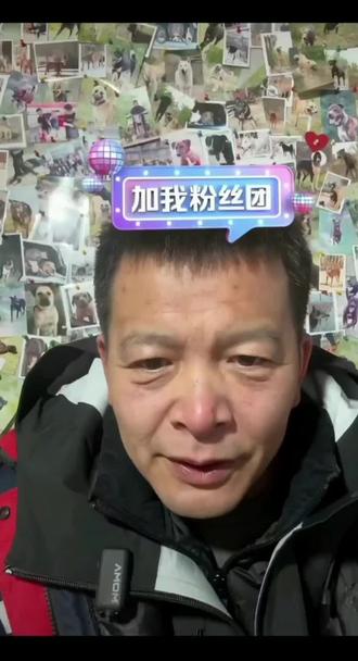 夏天走了#西北刀客夏天在汪星没有病痛,没有犬瘟热的折磨,你可以尽情地跑,大口地吃,做一只最无忧无虑、最快乐的小狗。去找连杆哥哥,你们在那边要互相陪伴,继续做彼此最亲的伙伴。夏天,晚安,我们会永远想念你,长眠的是你的身影,长存的是我们对你的爱。愿汪星四季如春,快乐无忧。再见了,我们的小英雄夏天,我们永远爱你。2026年1月31日19:30分 #犬瘟热 #狗狗 #西北刀客 @西北刀客-公益护农 @西北刀客-吴队 @西北刀客-机油手 @西北刀客-徐晒晒 @西北刀客摄影-李