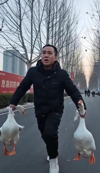 看房子送大鹅#即梦ai #房产中介的日常 #固始鹅块