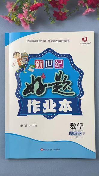 #一课一练 #同步练习册 #课课练 #同步训练 #必考考点 苏教版数学六年级下册同步练习册