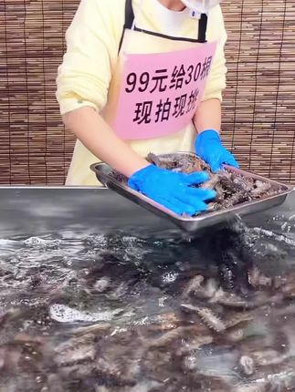 精品海参鲜食海参商用批发新鲜淡干海参刺参非干货鲜食500g#海参 #海参批发 #鲜食海参 #干海参 #海参崴