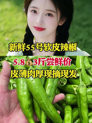#辢椒#河南本地辢椒#优质农产品 #新鲜采摘 。