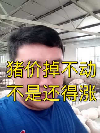 #养猪人的日常生活 #养猪人加油干 #养猪人不容易 #猪价行情 #自繁自养