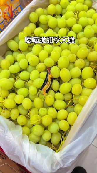 今日主推:秋天脆,脆甜多汁,清爽解腻#水果爱好者