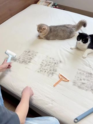 大语文时代,语文考试知识面非常灵活,一定要帮孩子多积累这些百科常识 #育儿 #家庭教育 #百科知识 #文学常识