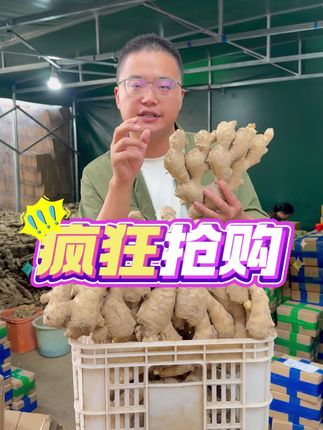 炖锅羊肉汤,丢两块腥味全跑,鲜得能把汤喝见底。产地直采现挖现发,从田间到厨房就隔个快递,囤着做菜香得靠谱!#优质农产品 #三农 #扶农助农 #姜 #特色农产品