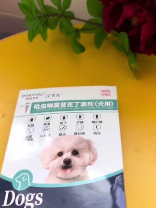 夏天一定要定期给宠物驱虫#宠物狗 #科学养宠 #养狗经验分享 #毛孩 #萌宠日常记录