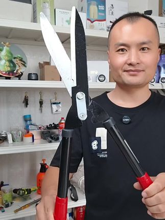 #无限回购的宝藏单品 这款园林大剪刀适合剪家里周围的花花草草,剪茶叶树枝很快! #农具工具SK5园艺剪刀园林修枝剪果树剪枝树枝省力强力大修剪修花剪子神器 #修枝剪刀 #修枝剪 #大剪刀