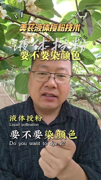 液体授粉要不要染颜色,一条视频告诉大家,美苌液体授粉技术,一人一小时一亩地,猕猴桃授粉不再发愁#美苌液体授粉技术#猕猴桃授粉#猕猴桃种植