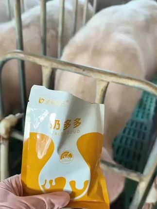 奶多多 #养猪人#养猪人不容易#养猪人加油干#自繁自养#母猪
