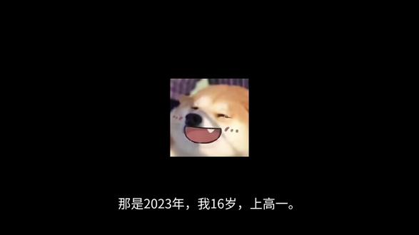 家人们,收到的第一篇投稿,高中恋爱故事(上)#高中生活 #破大防 #二次元表情包吐槽 #黑白熊猫表情包 #表情包梗