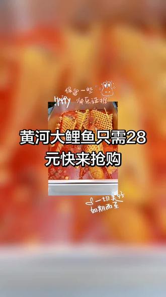 黄河大鲤鱼只需28元大家快来抢购吧!