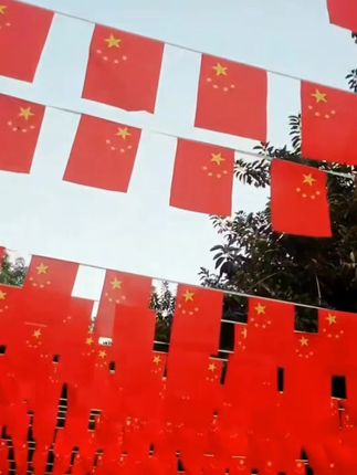 国庆彩旗国旗串旗小红旗装饰品中国五星红旗吊旗幼儿园店铺办公室#串旗国旗 #国庆小红旗 #装饰#国庆节装饰#好东西一起分享