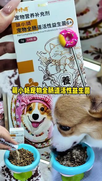 保护狗狗小肚肚#狗狗 #宠物日常 #宠物益生菌 #狗子成精了 #狗子的迷惑行为