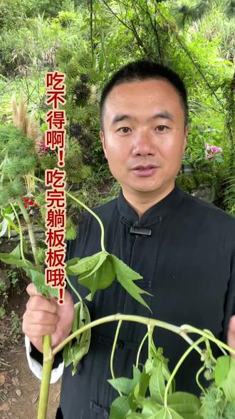小小种子能力很大#三农 #中草药 #山货