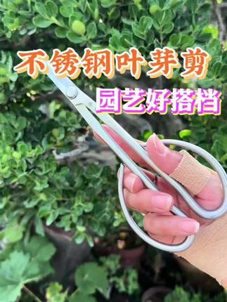 #叶芽剪 #盆栽修枝剪 #五金工具