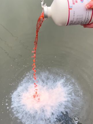#水产养殖 拉网,转塘用#鱼耀#水美净 #四大家鱼养殖#花白鲢养殖