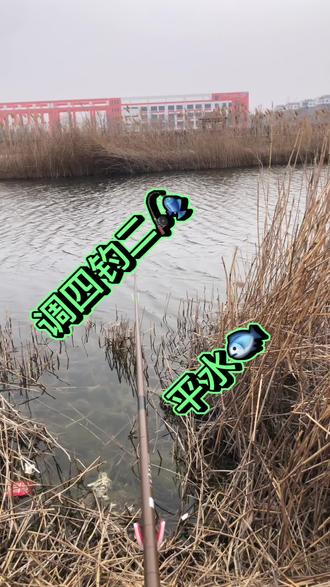 调四钓二,平水 #调四钓二#平水#调漂#钓鱼知识