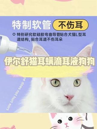 #宠物#宠物用品#可爱#好物推荐🔥 #平价好物