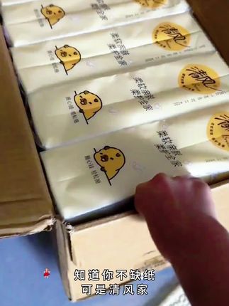 @抽纸批发整箱40包19... 清风挂抽10提卡皮巴拉纸巾整箱悬挂式抽纸4层加厚250抽家用卫生纸 #好物推荐🔥 #悬挂式#日常必备 #抽取式#抽纸