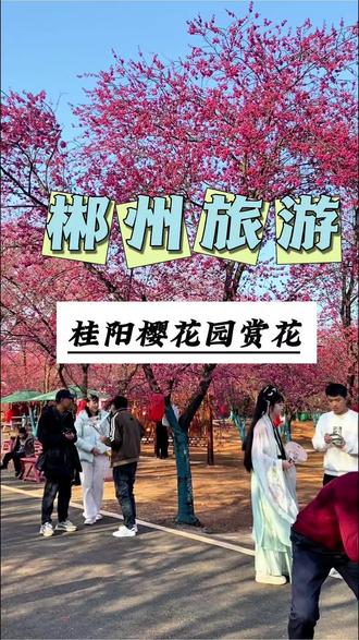 快来桂阳樱花园赏花,好美#郴州旅游 #郴州旅游攻略 #旅行推荐官 @抖音小助手