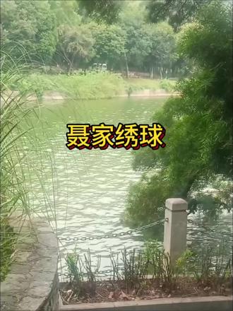 《聂家绣球》后续大结局全文番外已完结配享太庙
及笄那年我抛绣球招婿 #及笄那年我抛绣球招婿后续 #及笄那年我抛绣球招婿大结局 #小说推荐 #古言小说 #好看又过瘾的小说推荐