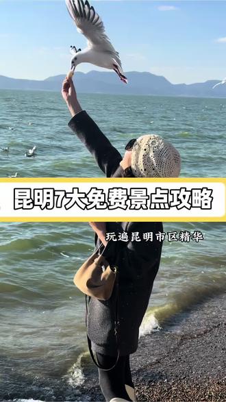 在昆明生活10年的本地宝妈
今天给大家整理出昆明市区7个免费好去处
老人小孩都适合,轻松遛娃不费妈~
📍第一站:大观楼
入园免费,直面滇池晚风
春柳·夏荷·秋银杏·冬红嘴鸥
📸 工作日9:00前/16:00后 人少出片
⚠️ 防晒墨镜必备|带娃推车+水杯|登楼禁三脚架
📍第二站:翠湖公园
城心小西湖,四季治愈
春樱·夏荷·秋杏·冬鸥
📸 9:00前/16:00后 光线柔和
⚠️ 防晒推车必备|观鸥用专用鸥粮
📍第三站:捞鱼河湿地公园
滇池水上森林,遛娃天花板
春:郁金香、油菜花
夏:水上森林、浅滩捞鱼
秋:水杉红、芦苇荡
冬:红嘴鸥+滇池日落
📸 15:00–18:30 看日落超绝
⚠️ 防晒驱蚊|带娃备捞鱼网、推车
📍第四站:海宴村
滇池古渔村,橘子海日落天花板
📸 日落前2小时到最佳
⚠️ 傍晚风大带薄外套|湖边注意安全
📍第五站:昆明世博园
免费入园
逛遍各国园林,超大超好拍,可以逛一天
下午常带娃导航向日葵咖啡,就在法国园
安安静静喝咖啡,浅色系穿搭超出片
⚠️ 园区大建议观光车|舒适鞋+防晒
📍第六站:斗南花市
亚洲最大花市,鲜花按束买
浪漫又温柔,连垃圾桶都装满鲜花
但好品质的花,其实并不便宜
1楼鲜切花、2楼多肉,娃超爱逛
晚上来更便宜,还能逛吃
反正来了,你不可能空手回去~
📍第七站:三家村水库
西山脚下小众秘境,湖光水杉超治愈
环湖散步、草坪遛娃都舒服
📸 晴天早晚光线最出片
⚠️ 严禁下水|防晒驱蚊|不乱扔垃圾
昆明的浪漫,藏在湖光与花香里。
不赶时间,不追景点,
带娃慢慢走,平凡日子也温柔治愈。