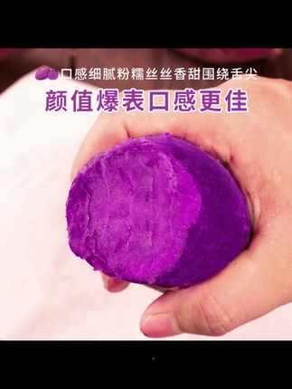 【新鲜沙地紫薯】正宗紫罗兰紫红薯蜜薯番薯地瓜粗粮代餐3/5/9斤 #软糯香甜