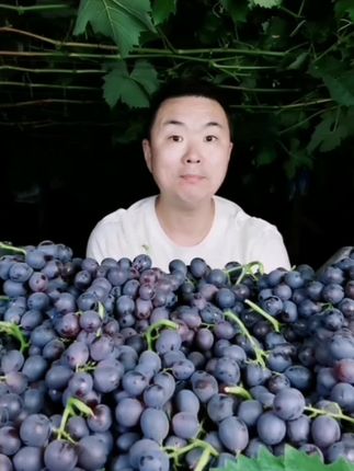 正宗玫瑰香葡萄香甜新鲜现摘现发净重山东烟台水果#葡萄 #玫瑰葡萄 #农产品 #新鲜应季水果 #水果