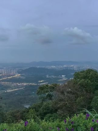 #登上山顶看美景 #天然氧吧 #治愈系风景 #山顶见 #仁和维生素b