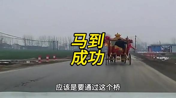 结婚没火,结果马车掉沟里火了#懂车帝